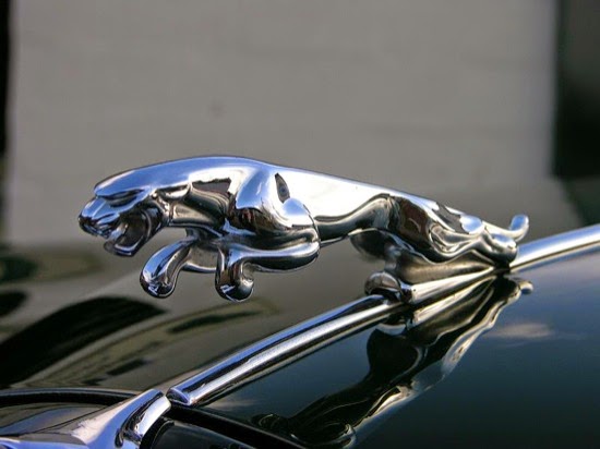 Emblema de Jaguar