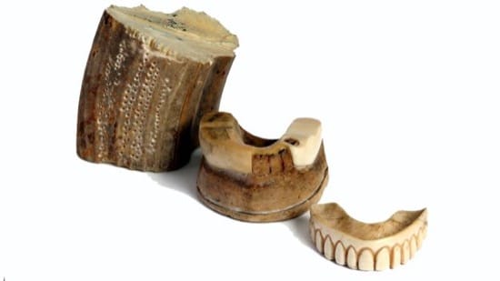 Proceso de una dentadura hecha de marfil