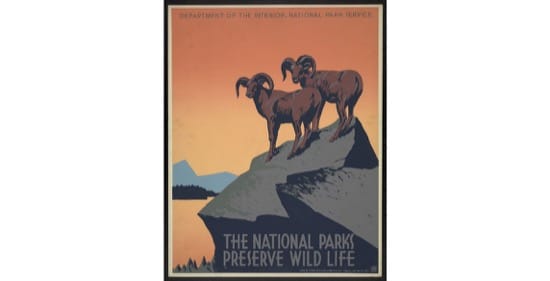 Póster promocional del servicio de Parques Naturales. 1936-39.