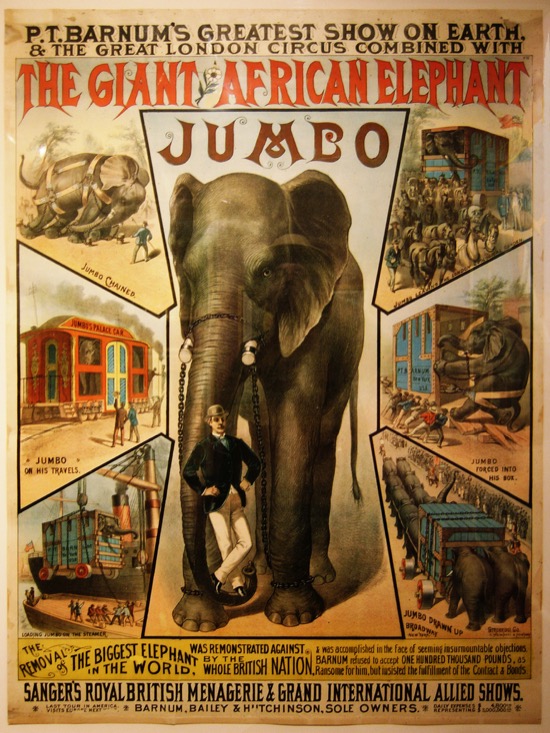 Jumbo, el elefante gigante que dio nombre a un avión y a Dumbo